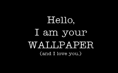 Funny Wallpaper
