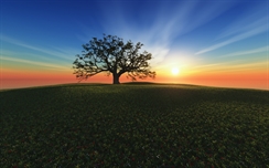 HD Sunset Hill
