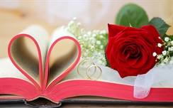 Red Flowers Roses Valentine-s Day Book Love Hearts Ring