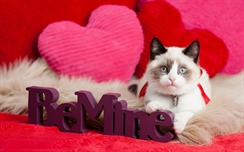 Be Mine Valentines Day
